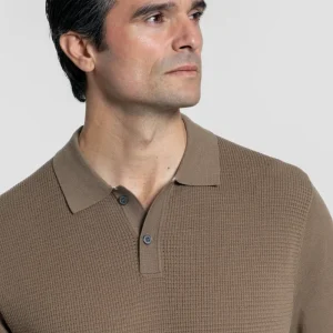 Polo de Punto Estructura