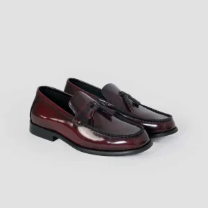 Zapato palacio burdeo