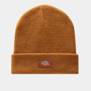 Gorro DICKIES GIBSLAND  - Brown Duck