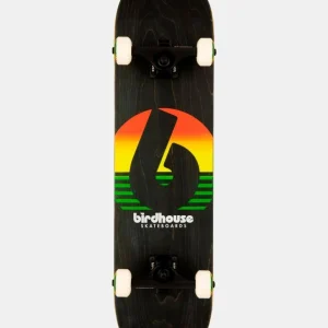 Skate Completo STAGE 3 SUNSET 7.75' - Rasta