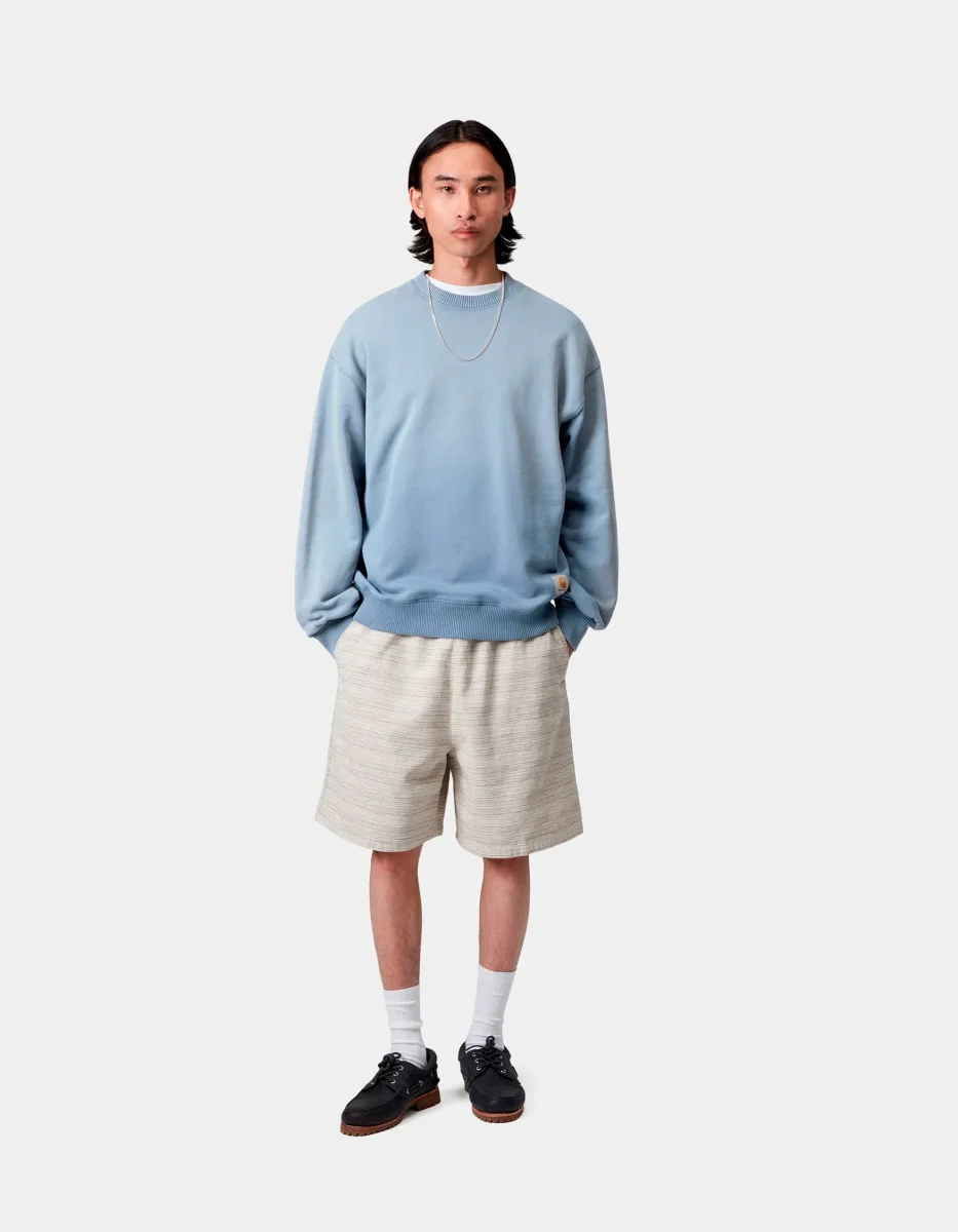 Sudadera Crew CARHARTT WIP HUDSON SWEAT - Sorrent - Imagen 4