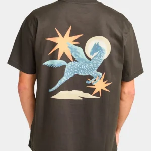 Camiseta RVCA PEGASUS - Pirate Black