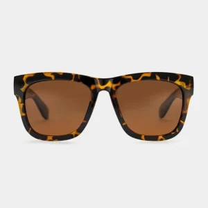 Gafas CHPO HAZE - Brown