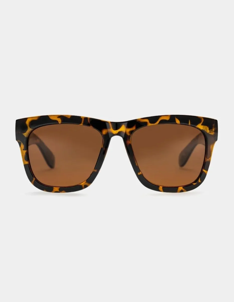 Gafas CHPO HAZE - Brown
