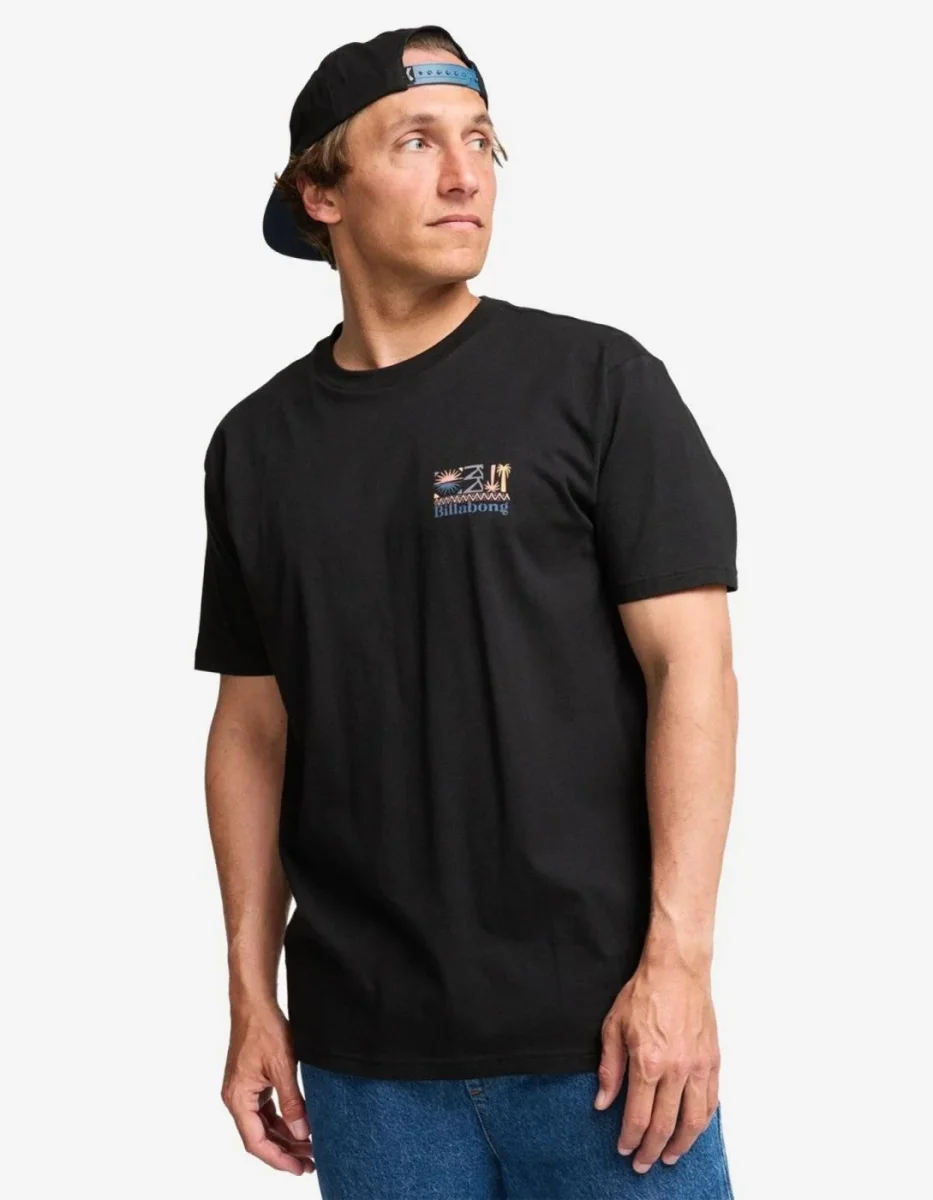 Camiseta BILLABONG SEGMENT - Black