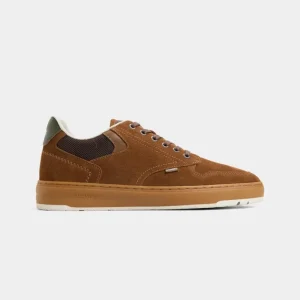 Zapatillas ELEMENT TOPAZ C3 3.0 - Breen