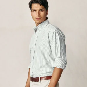 Camisa de Algodón - Oxford Rayas Verde y Blanco