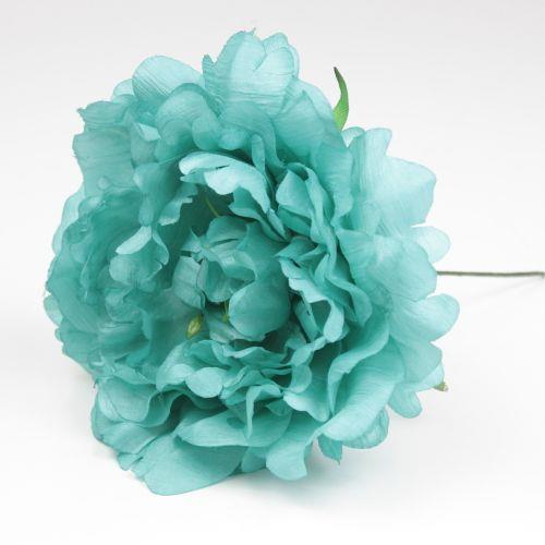 FLOR PEONIA FAIR