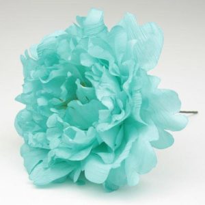 FLOR  PEONIA FAIR