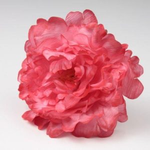 FLOR  PEONIA FAIR