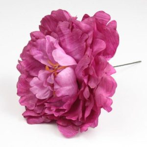 FLOR PEONIA FAIR
