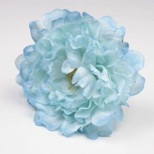 FLOR  PEONIA FAIR