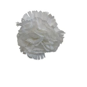 MINI CLAVELES
