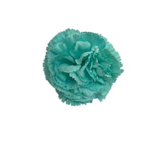 MINI CLAVELES