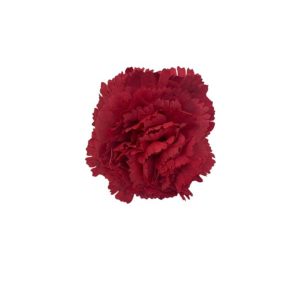 MINI CLAVELES