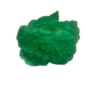 FLOR ROSA