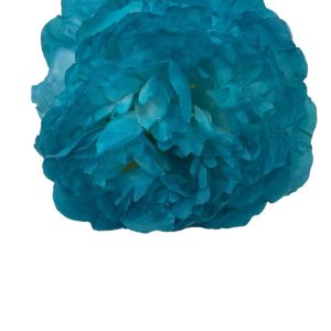FLOR ROSA