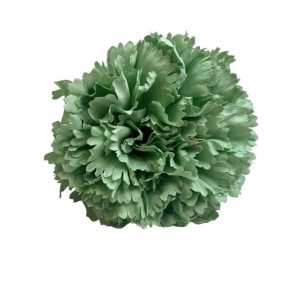 FLOR CLAVEL