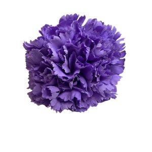 FLOR CLAVEL