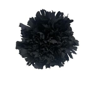 FLOR CLAVEL