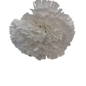 FLOR CLAVEL