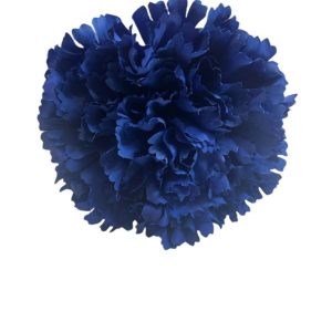 FLOR CLAVEL