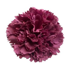 FLOR CLAVEL