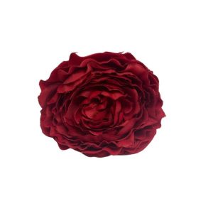 FLOR PEONIA PEQUEÑA