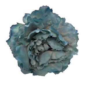 FLOR PEONIA PARIS
