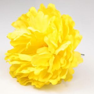 FLOR PEONIA PARIS