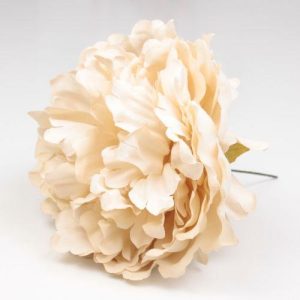 FLOR PEONIA PARIS