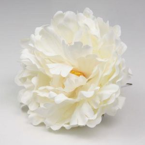 FLOR PEONIA PARIS