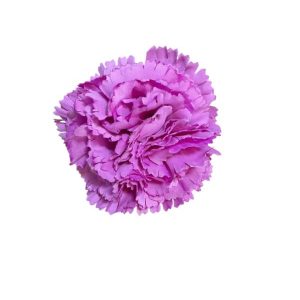 MINI CLAVELES