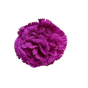 MINI CLAVELES