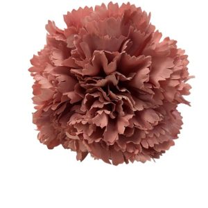FLOR CLAVEL