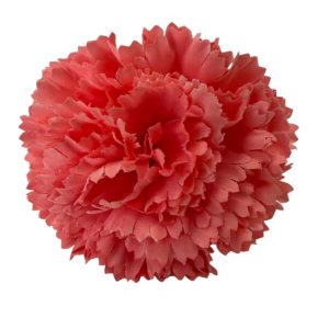 MINI CLAVELES