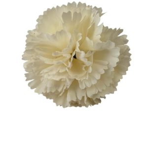 MINI CLAVELES