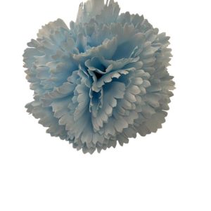 MINI CLAVELES