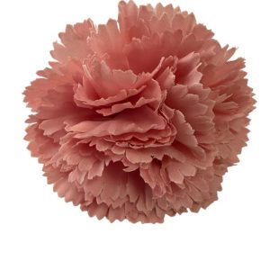 MINI CLAVELES