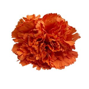 FLOR CLAVEL