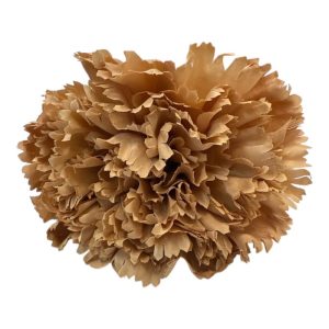 FLOR CLAVEL