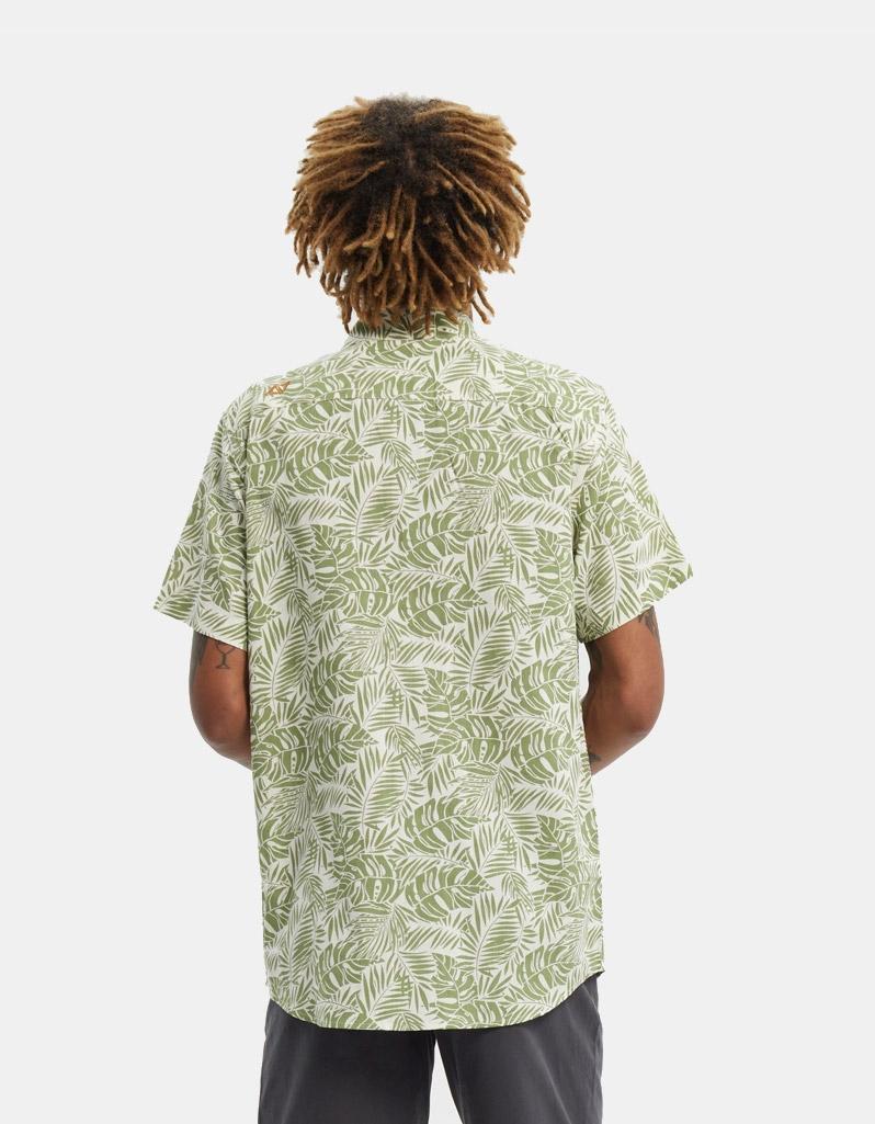 Camisa FERN - White Green - Imagen 3