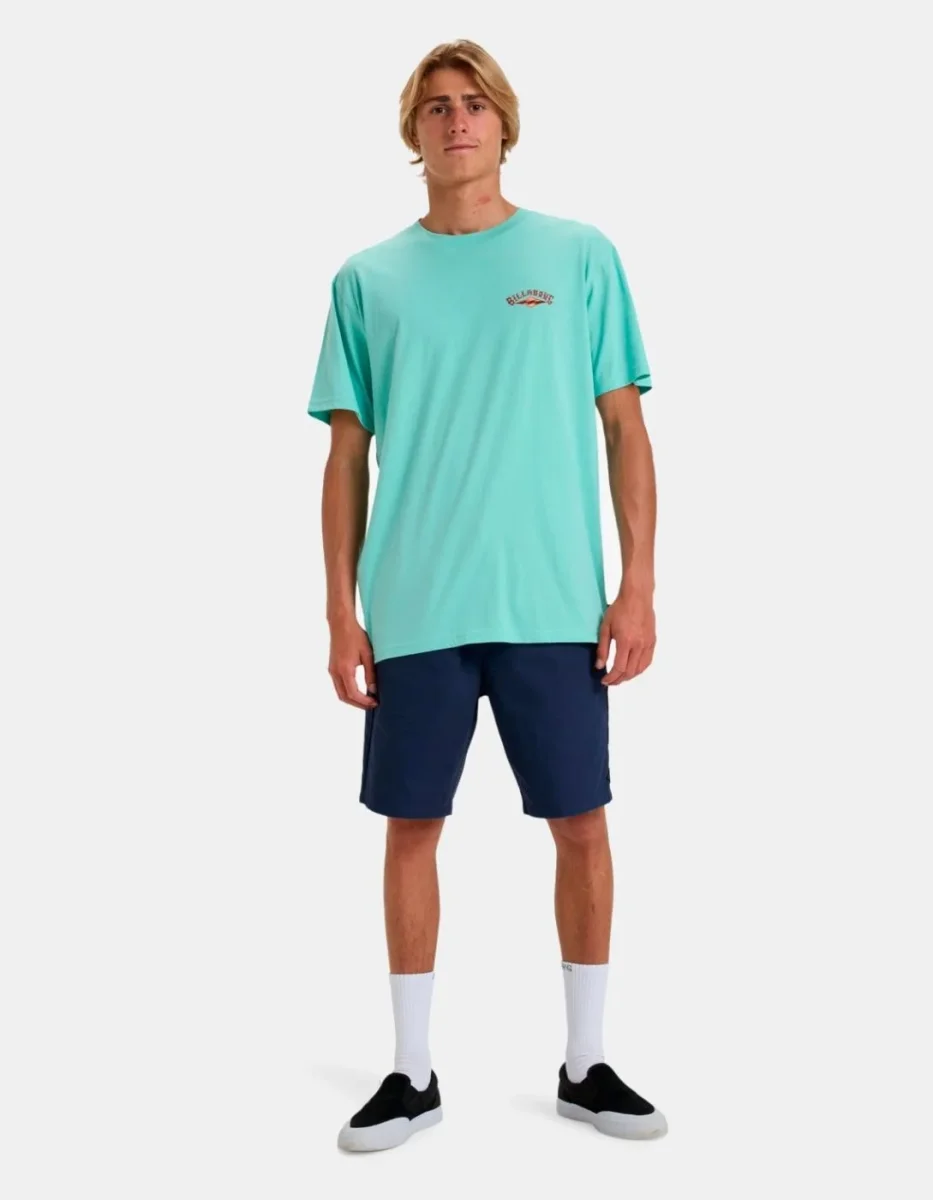 Camiseta BILLABONG DREAMY PLACE - Bermuda - Imagen 8