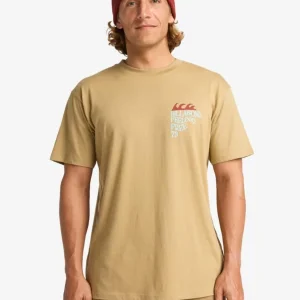 Camiseta BILLABONG TWIN FIN - Khaki