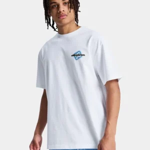 Camiseta DC SHOES BLURMARK - White