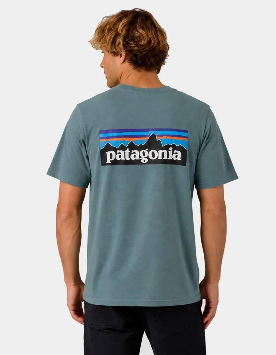Camiseta PATAGONIA P-6 LOGO - Blue Sage - Imagen 2