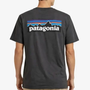 Camiseta PATAGONIA P-6 LOGO - Ink Black