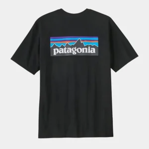 Camiseta PATAGONIA P-6 LOGO RESPONSIBILI - Black