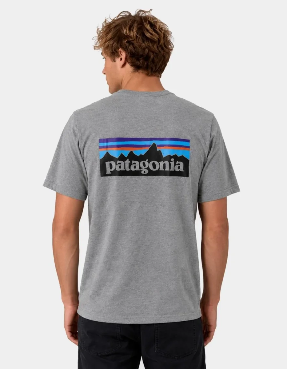 Camiseta PATAGONIA P-6 LOGO RESPONSIBILI - Gravel Heather - Imagen 2