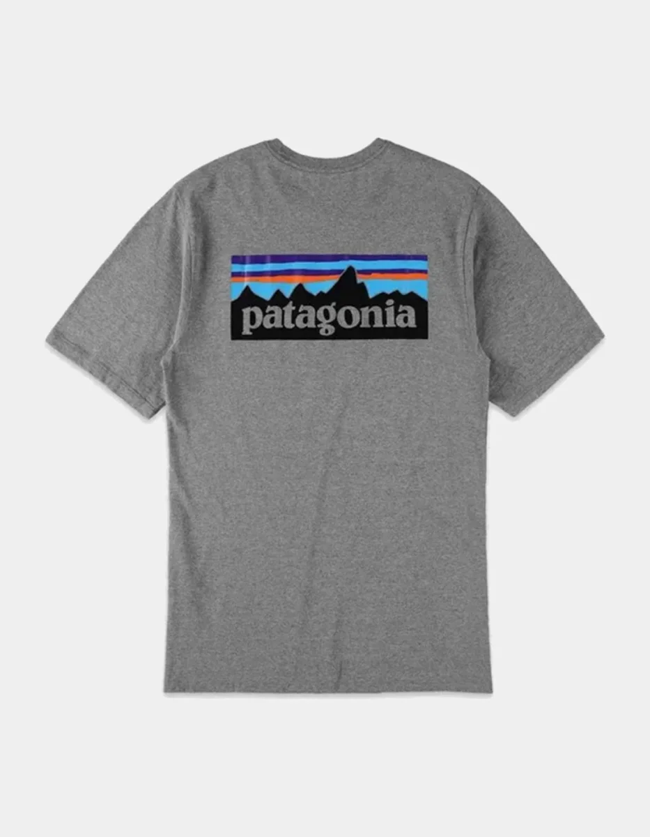 Camiseta PATAGONIA P-6 LOGO RESPONSIBILI - Gravel Heather - Imagen 4